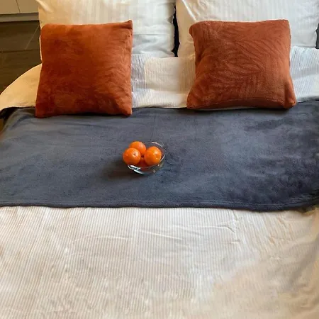 Modern Calm Studio, Apartment *